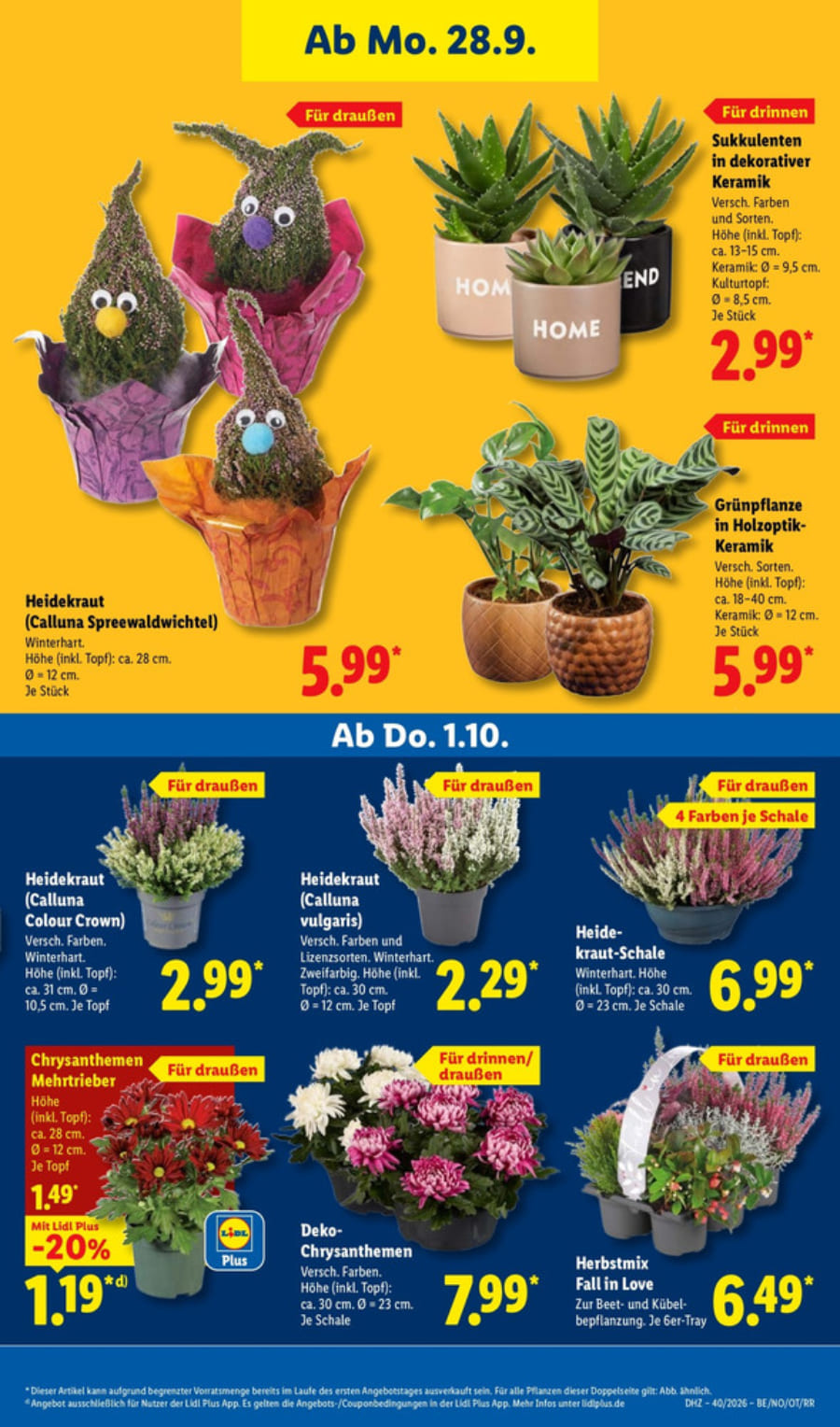 Lidl Vorschau – Seite 25