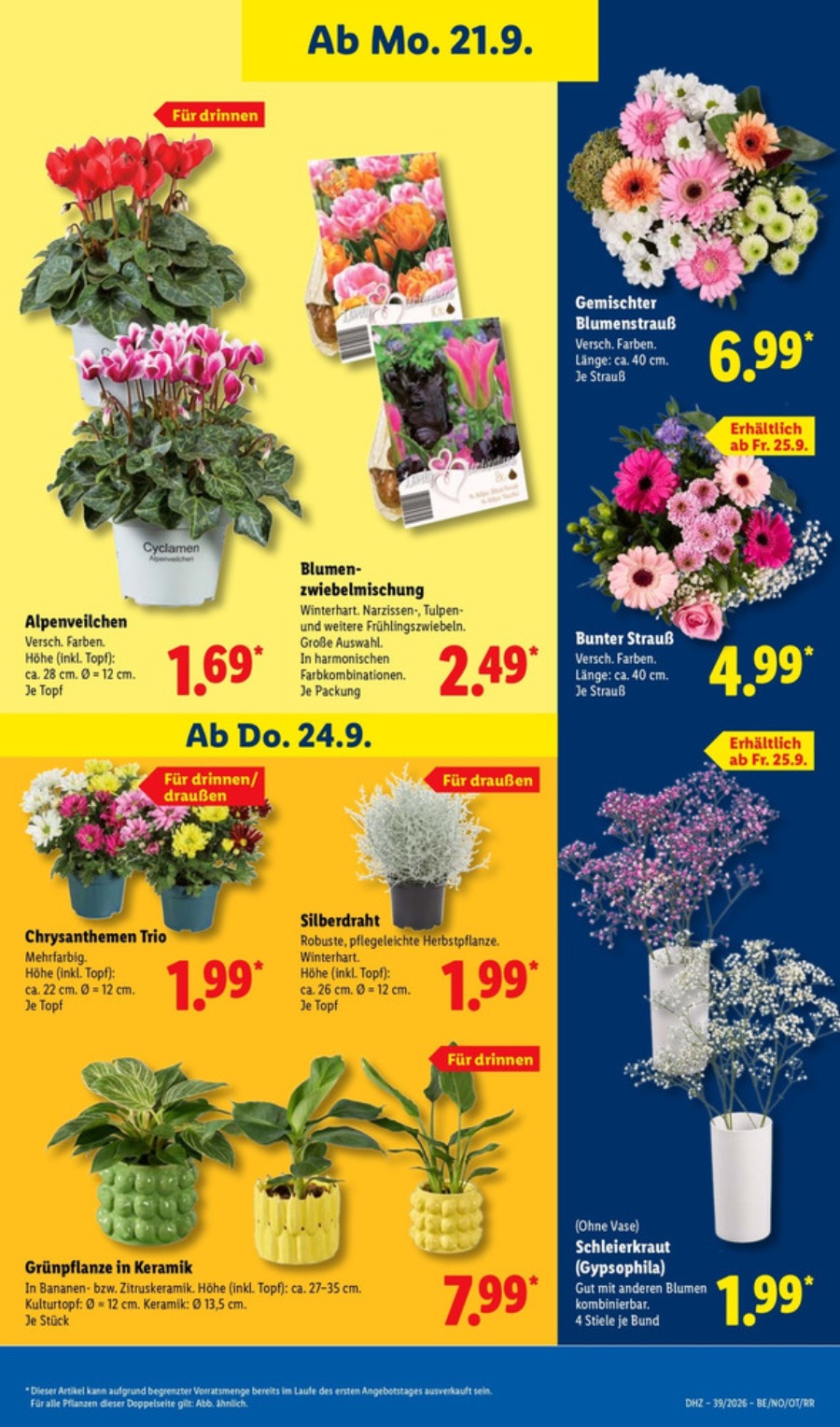 Lidl Vorschau – Seite 25