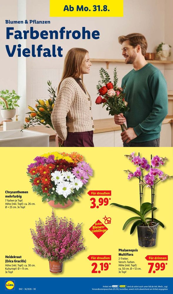 Lidl Vorschau – Seite 26