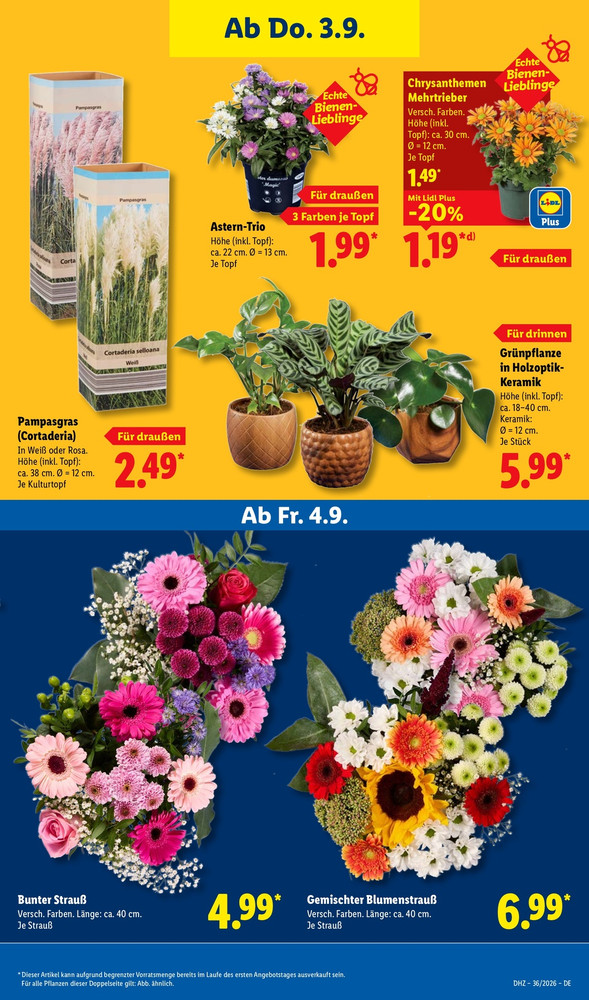 Lidl Vorschau – Seite 27