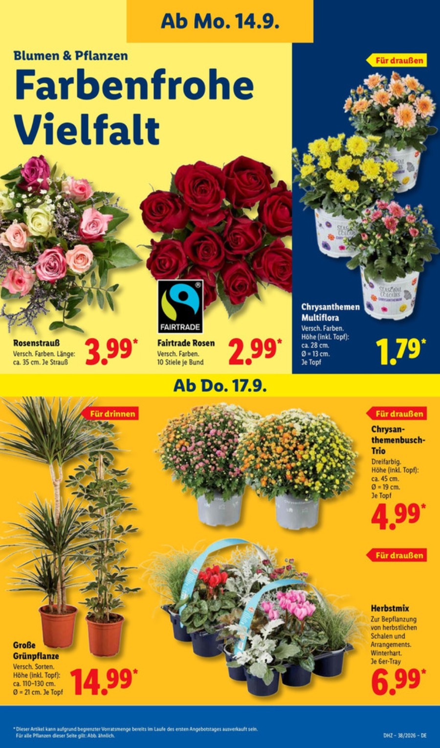 Lidl Vorschau – Seite 27