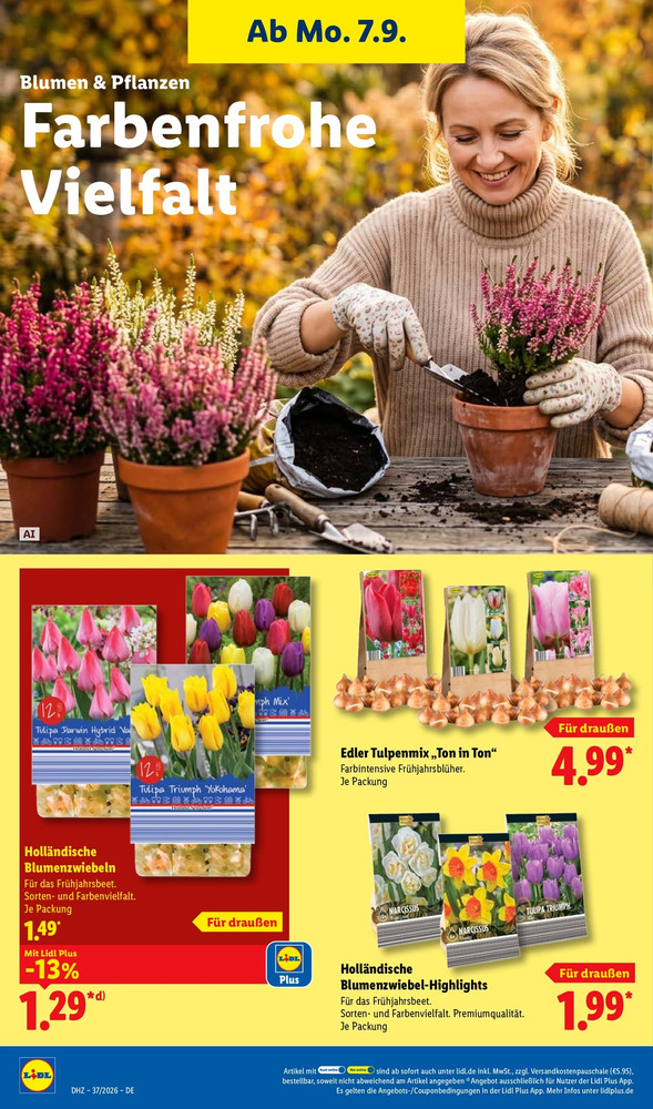 Lidl Vorschau – Seite 30