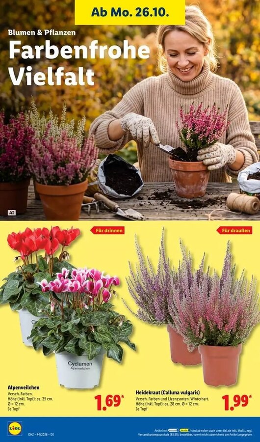 Lidl Prospekt ab 26.10.2026 – Seite 32