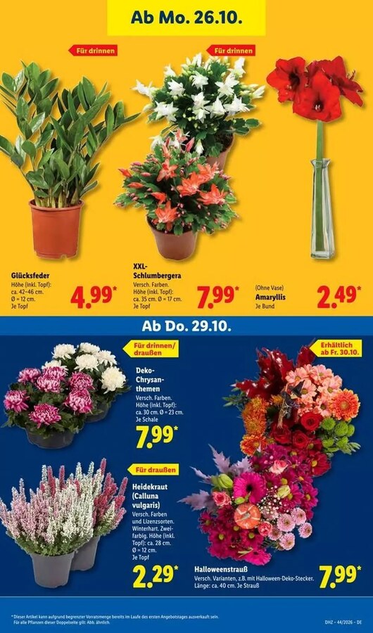 Lidl Vorschau – Seite 33