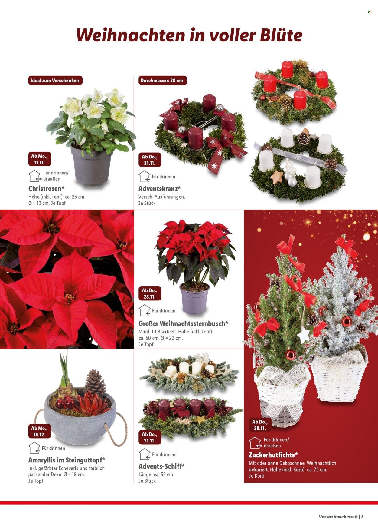 Lidl Xmas2 – Seite 7