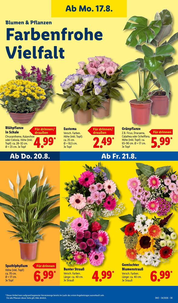 Lidl Prospekt – Seite 24