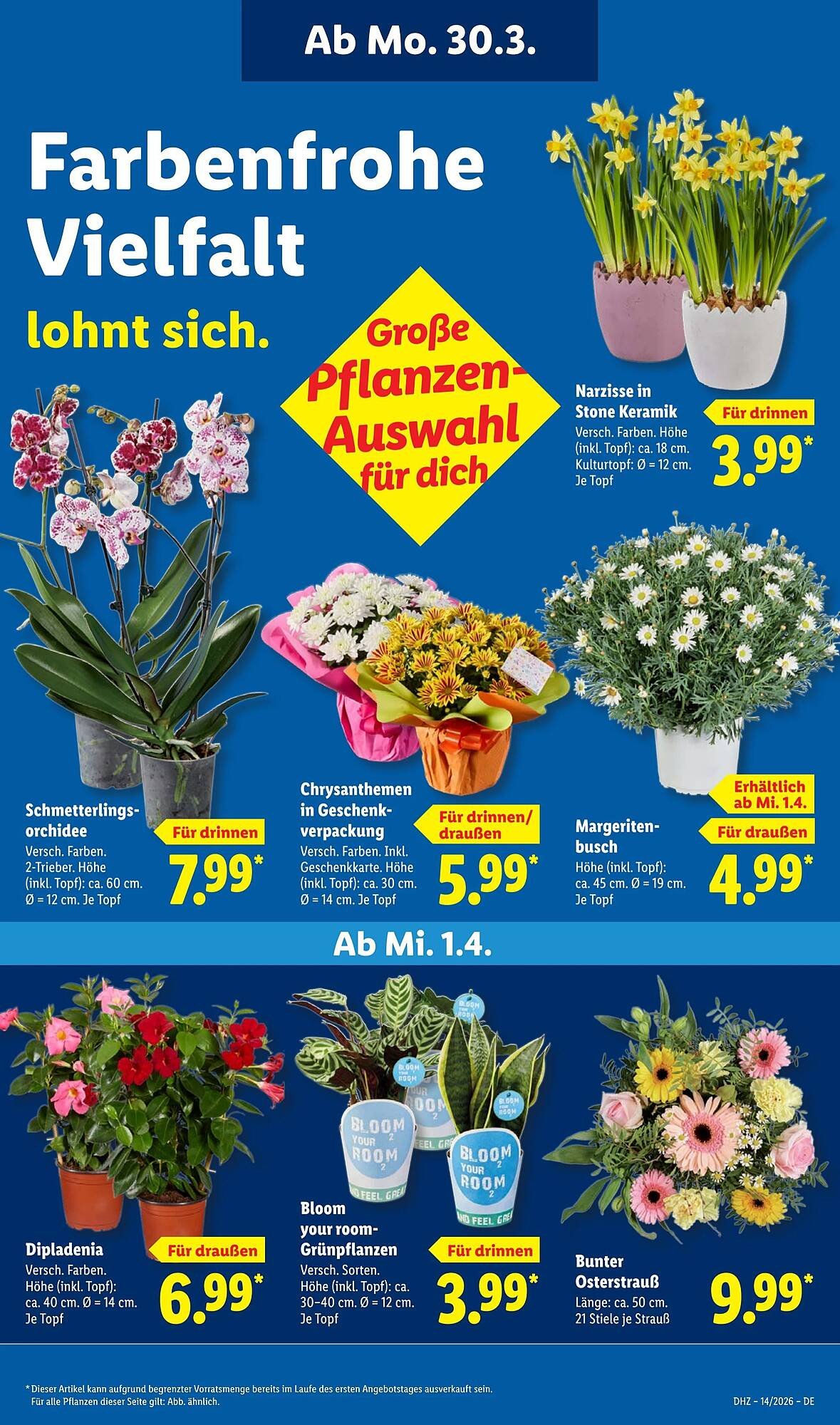 Lidl Prospekt – Seite 28