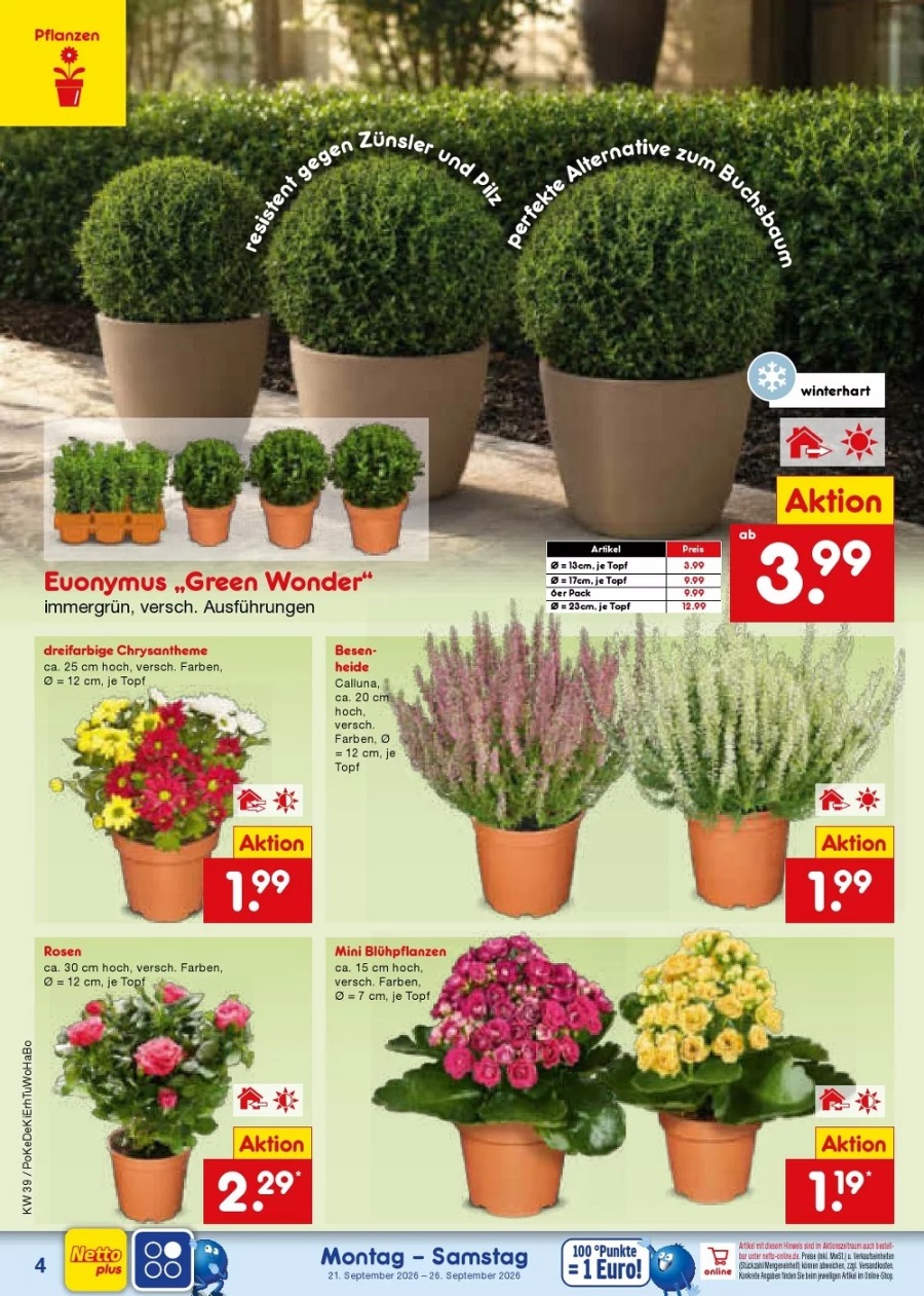 Netto Vorschau – Seite 4