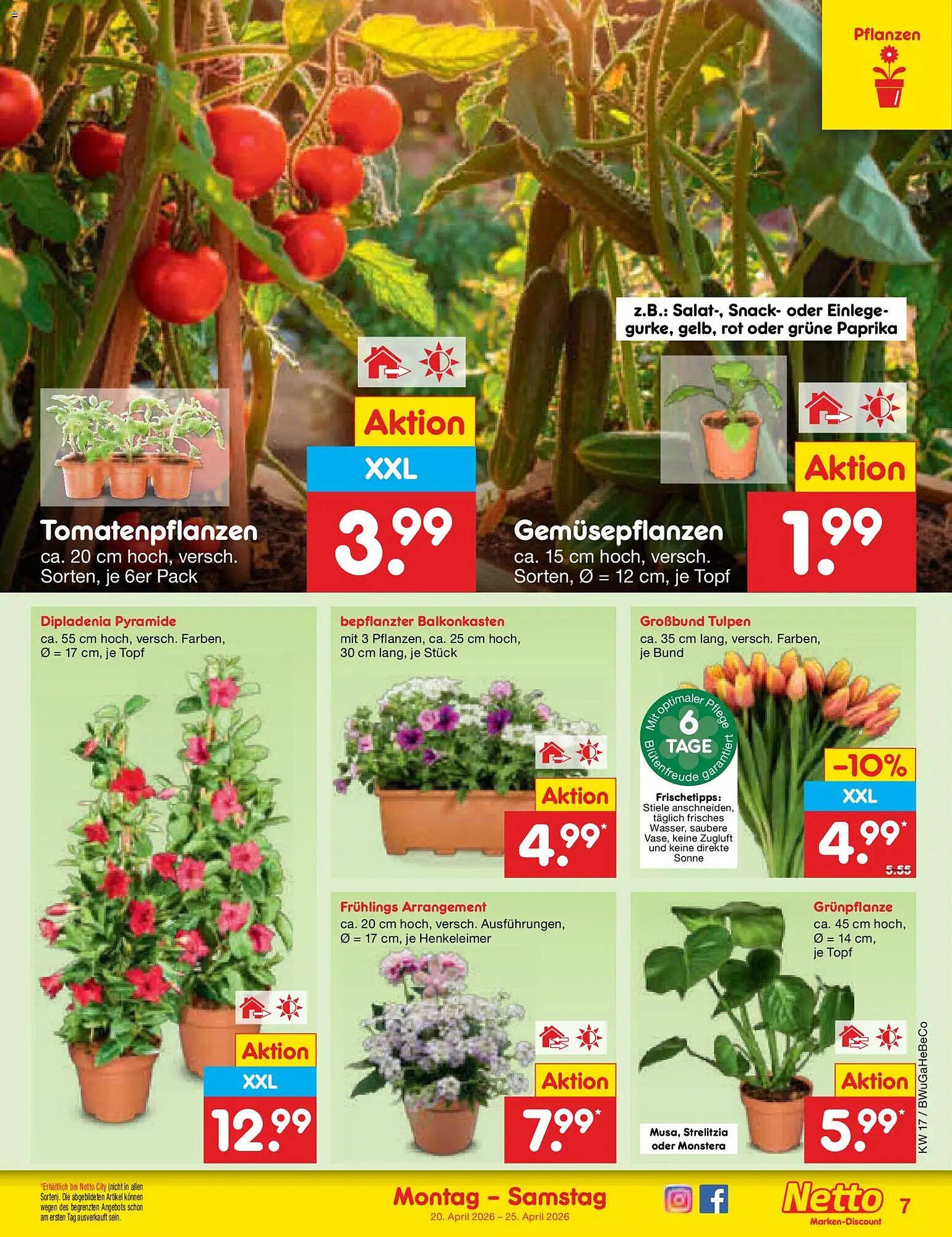 Netto Marken-Discount Vorschau – Seite 9