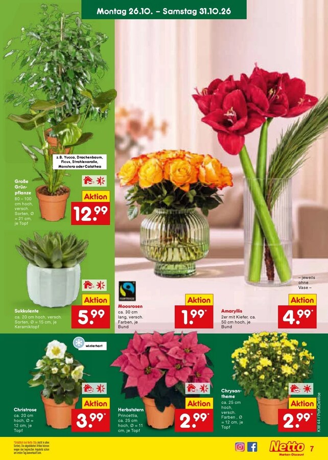 Netto Vorschau – Seite 9