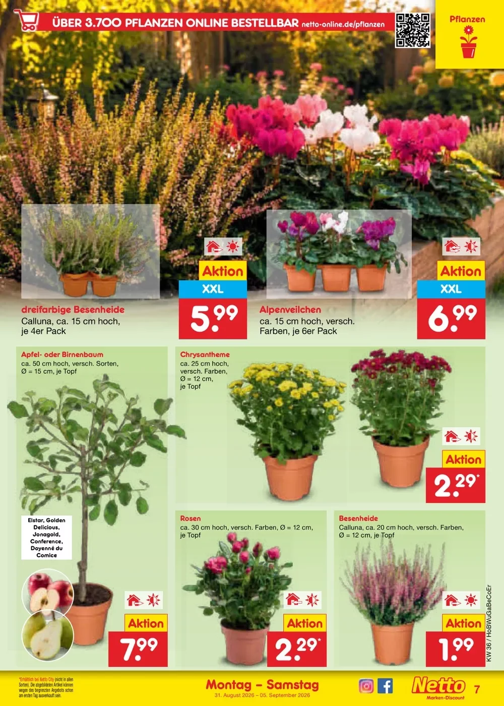 Netto Marken-Discount Vorschau – Seite 9