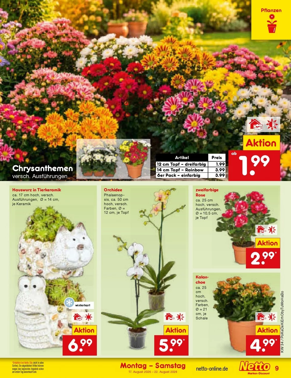 Netto Marken-Discount Vorschau – Seite 11