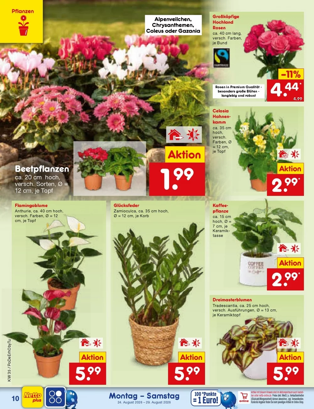 Netto Marken-Discount Vorschau – Seite 14