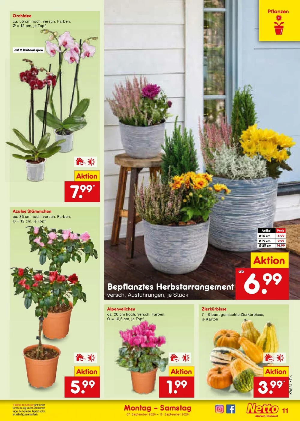 Netto Marken-Discount Vorschau – Seite 17