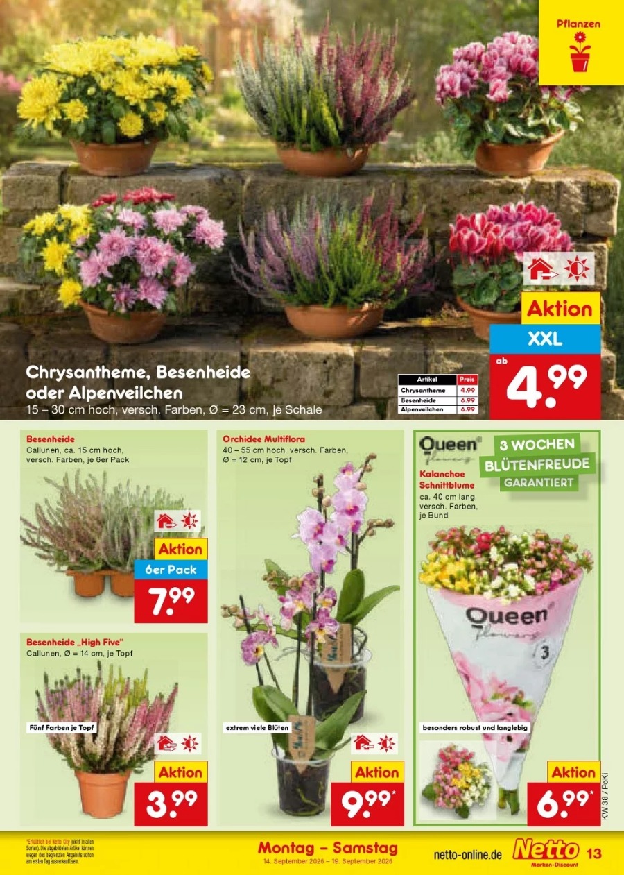 Netto Vorschau – Seite 19