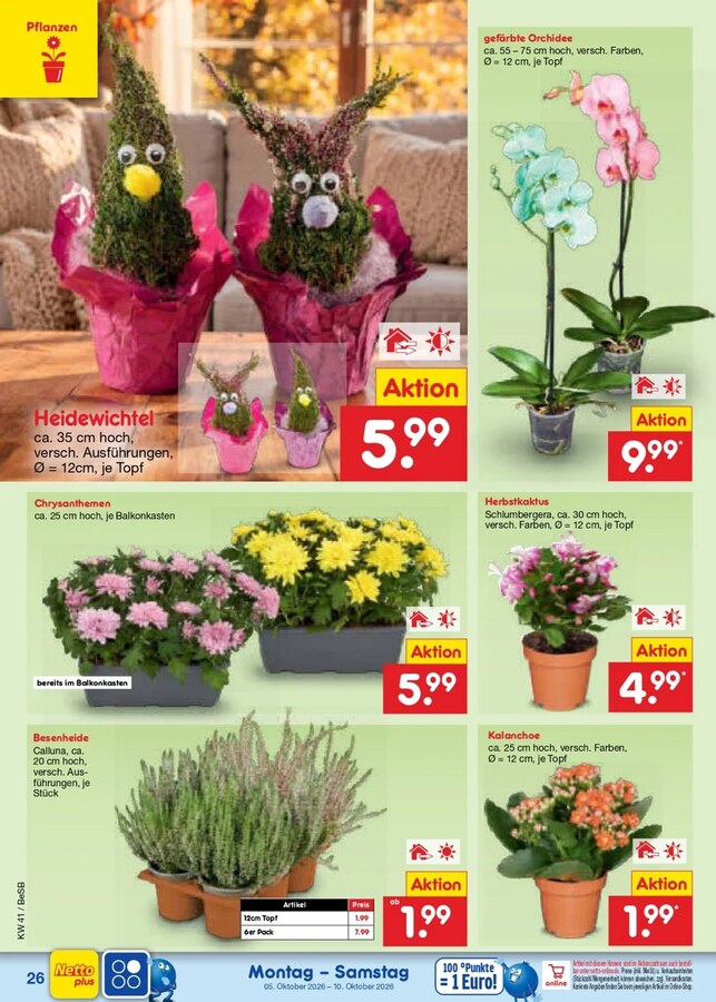 Netto Vorschau – Seite 30