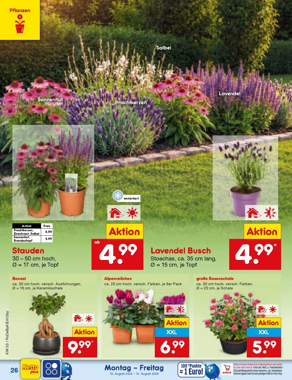 Netto Marken-Discount Vorschau – Seite 38