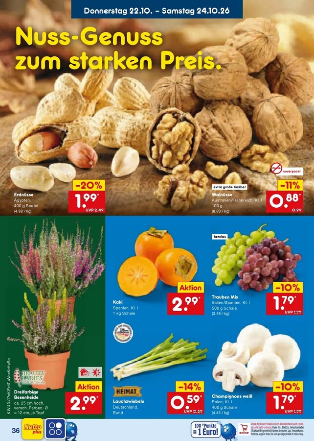 Netto Vorschau – Seite 48