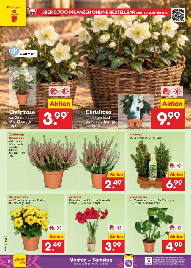 Netto Prospekt ab 12.10.2026 – Seite 10