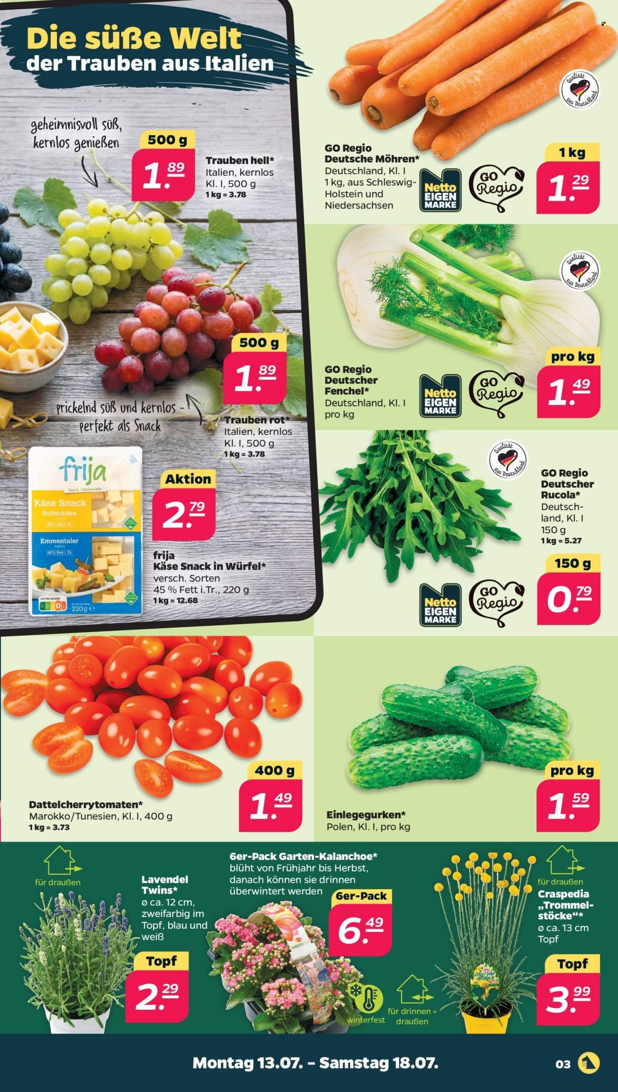 NETTO Scottie Vorschau – Seite 3