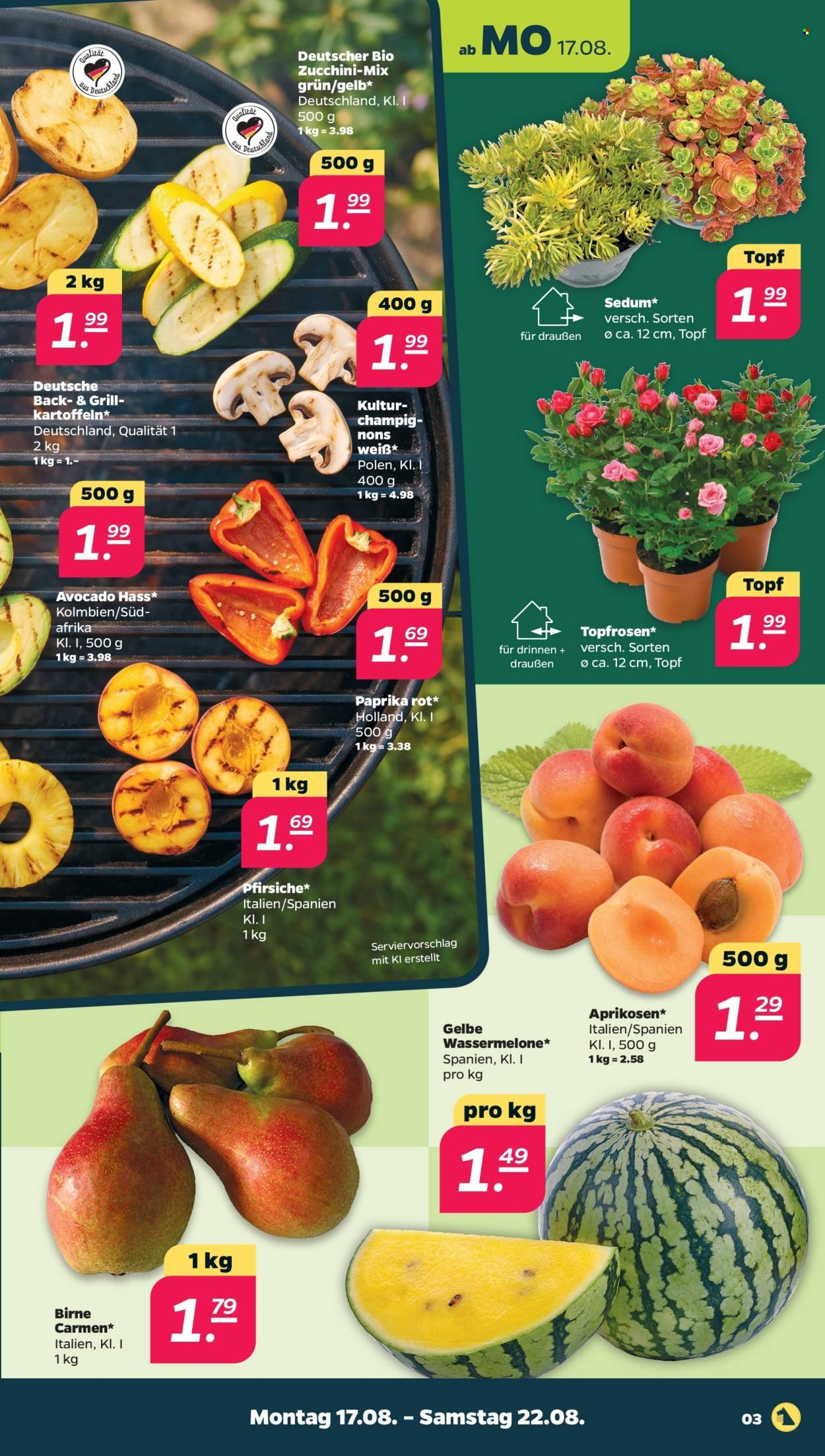 NETTO Scottie Vorschau – Seite 3