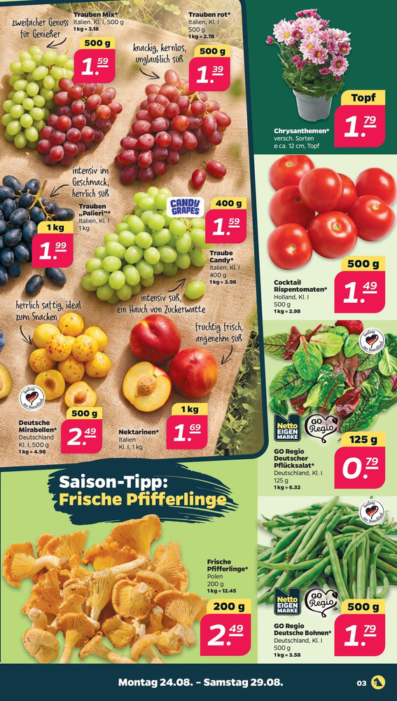 NETTO Scottie Vorschau – Seite 3