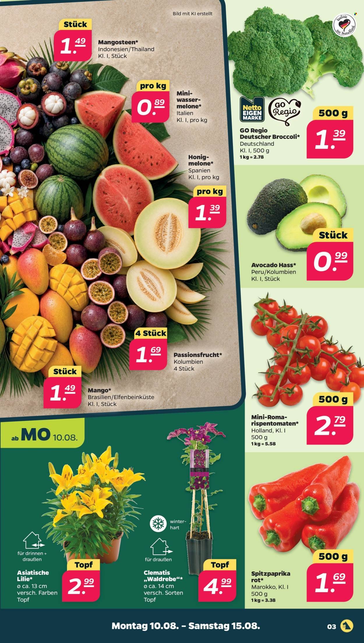 NETTO Scottie Vorschau – Seite 3
