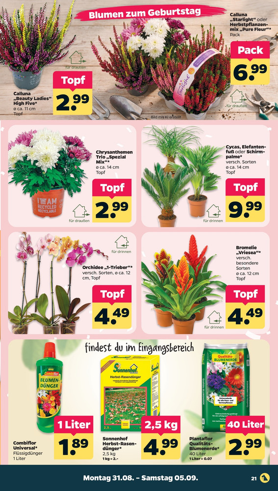NETTO Scottie Vorschau – Seite 23