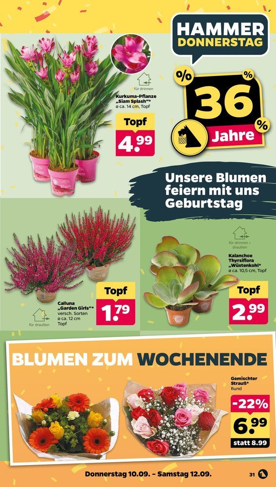 NETTO Scottie Vorschau – Seite 35