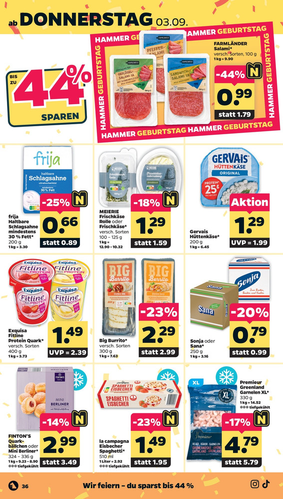 NETTO Scottie Vorschau – Seite 40