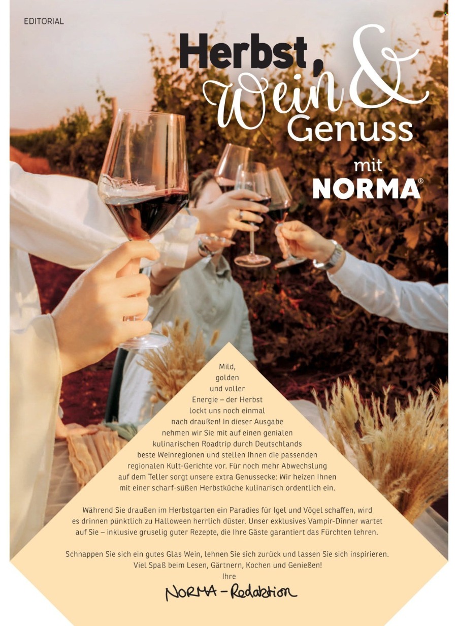 Norma Magazin – Seite 2