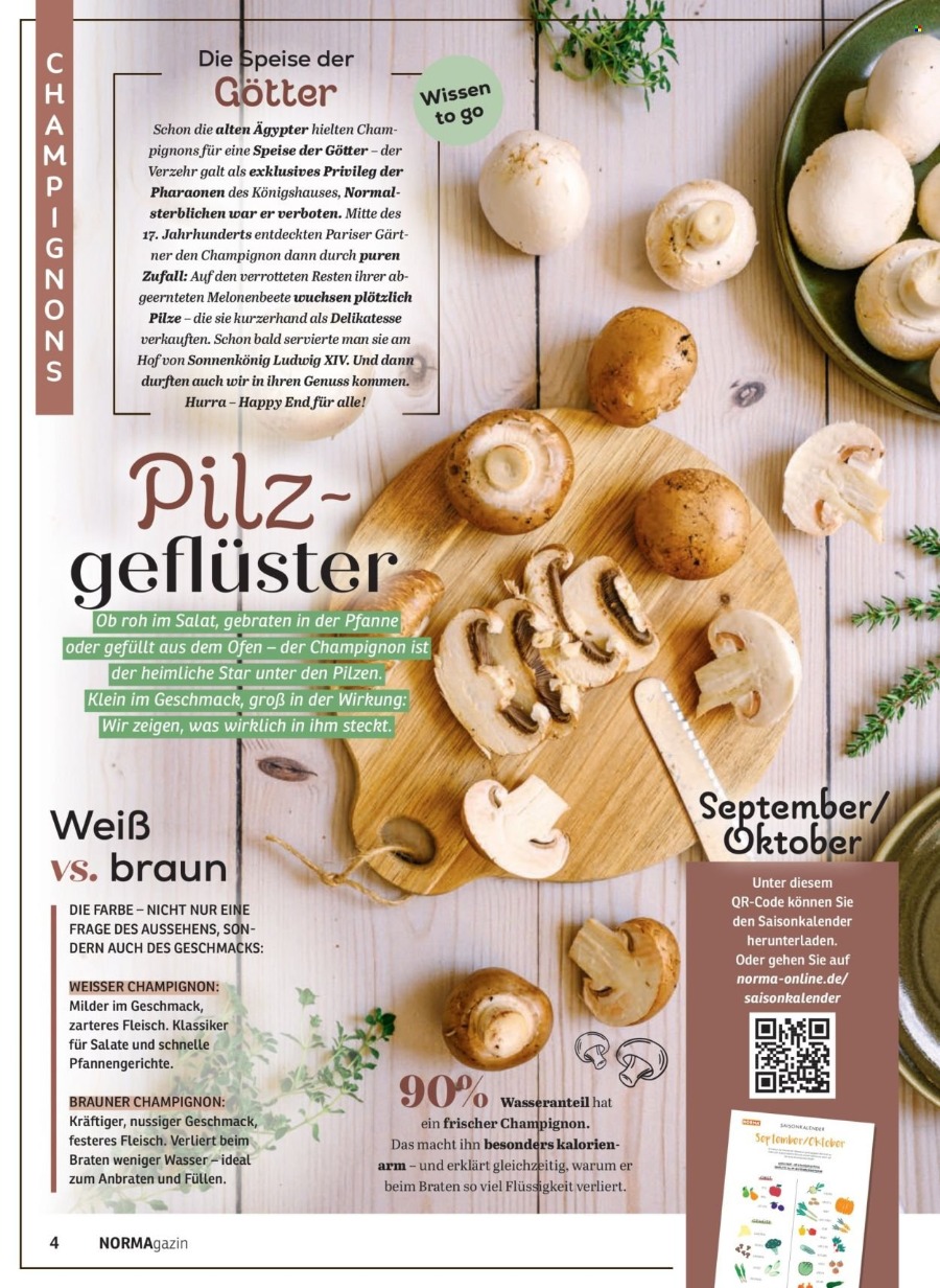 Norma Magazin – Seite 4