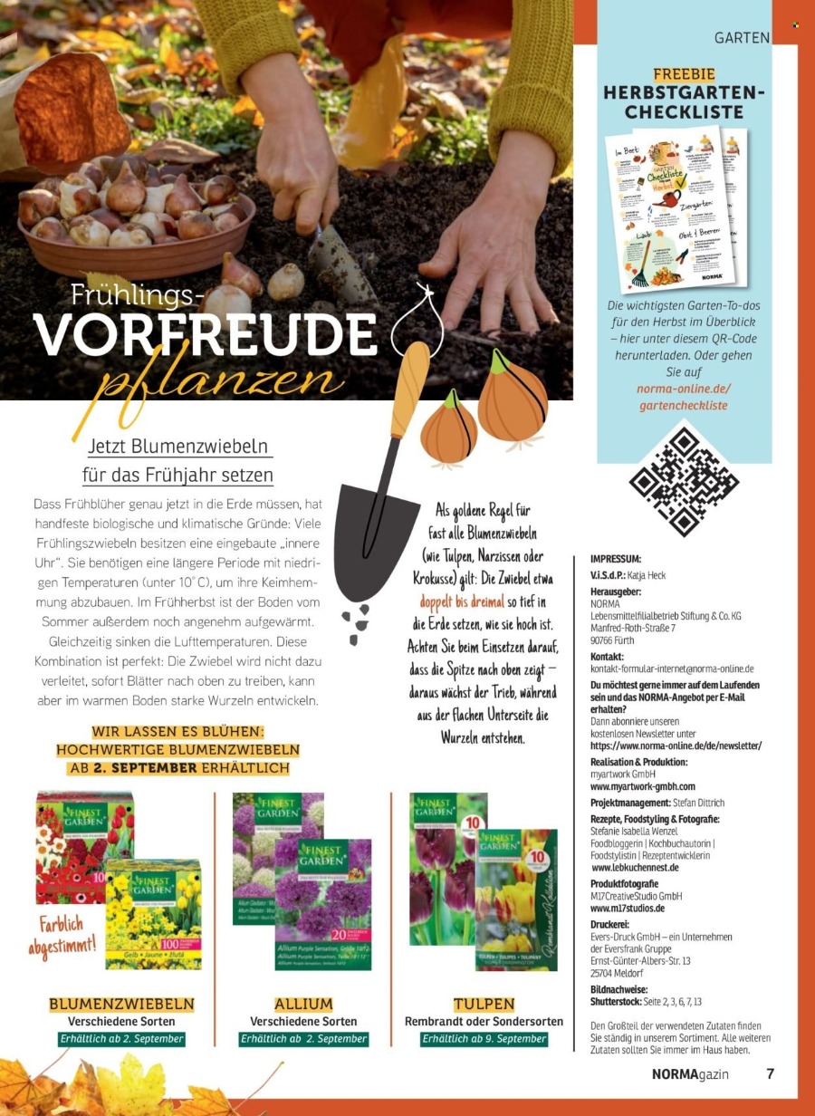 Norma Magazin – Seite 7