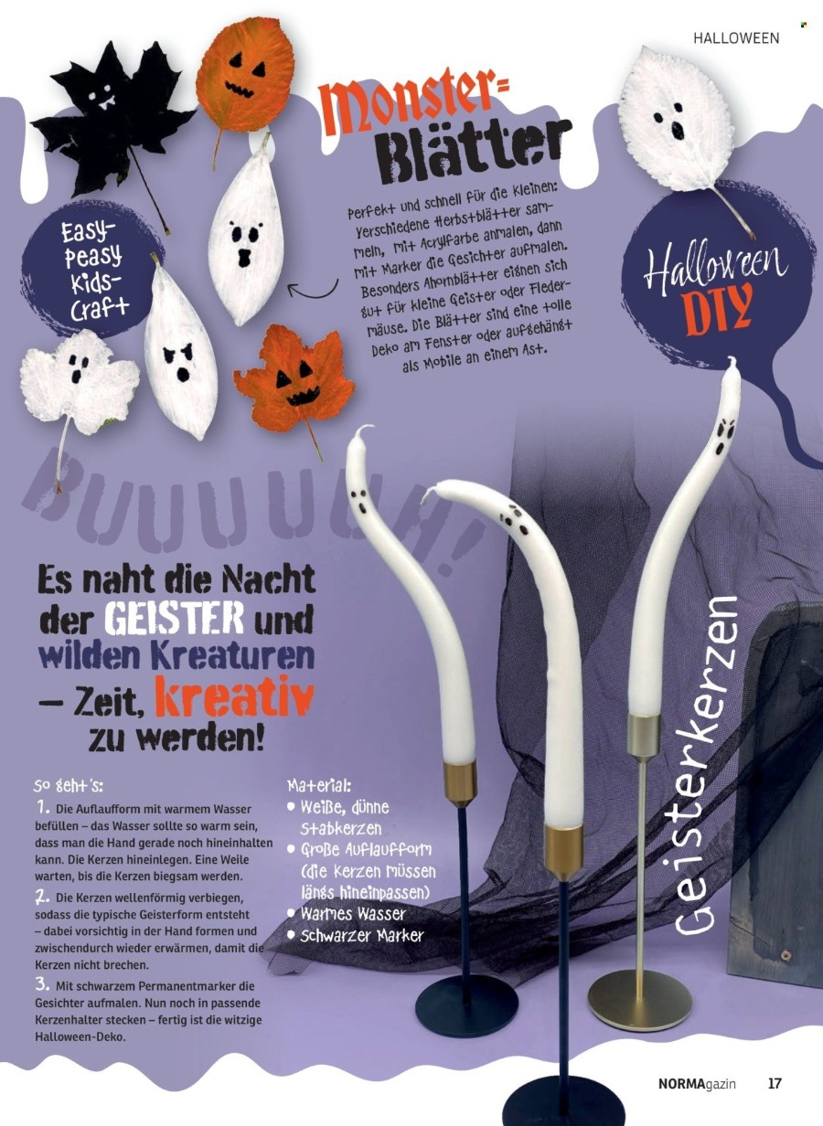 Norma Magazin – Seite 17