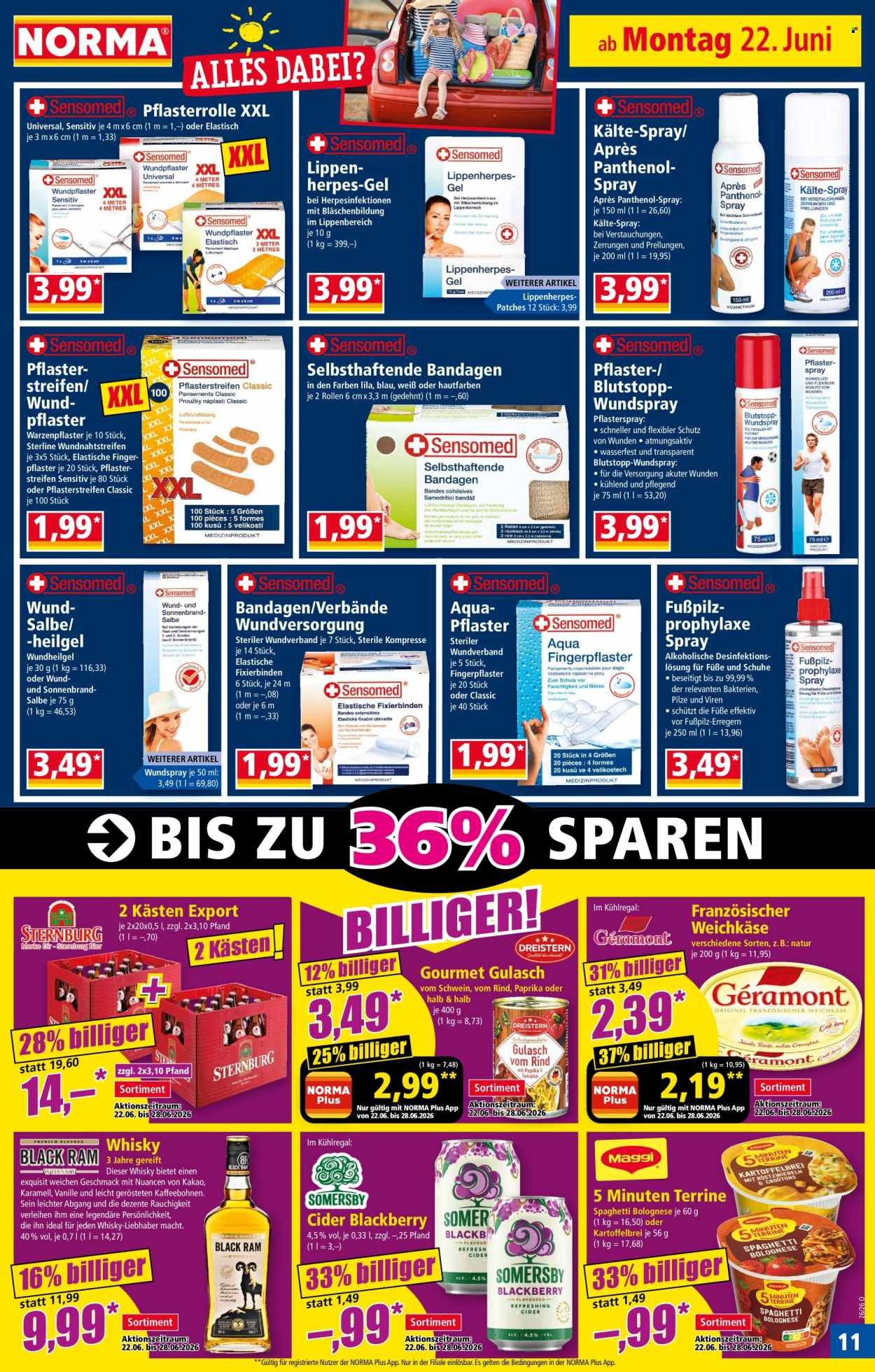 Norma Vorschau – Seite 11
