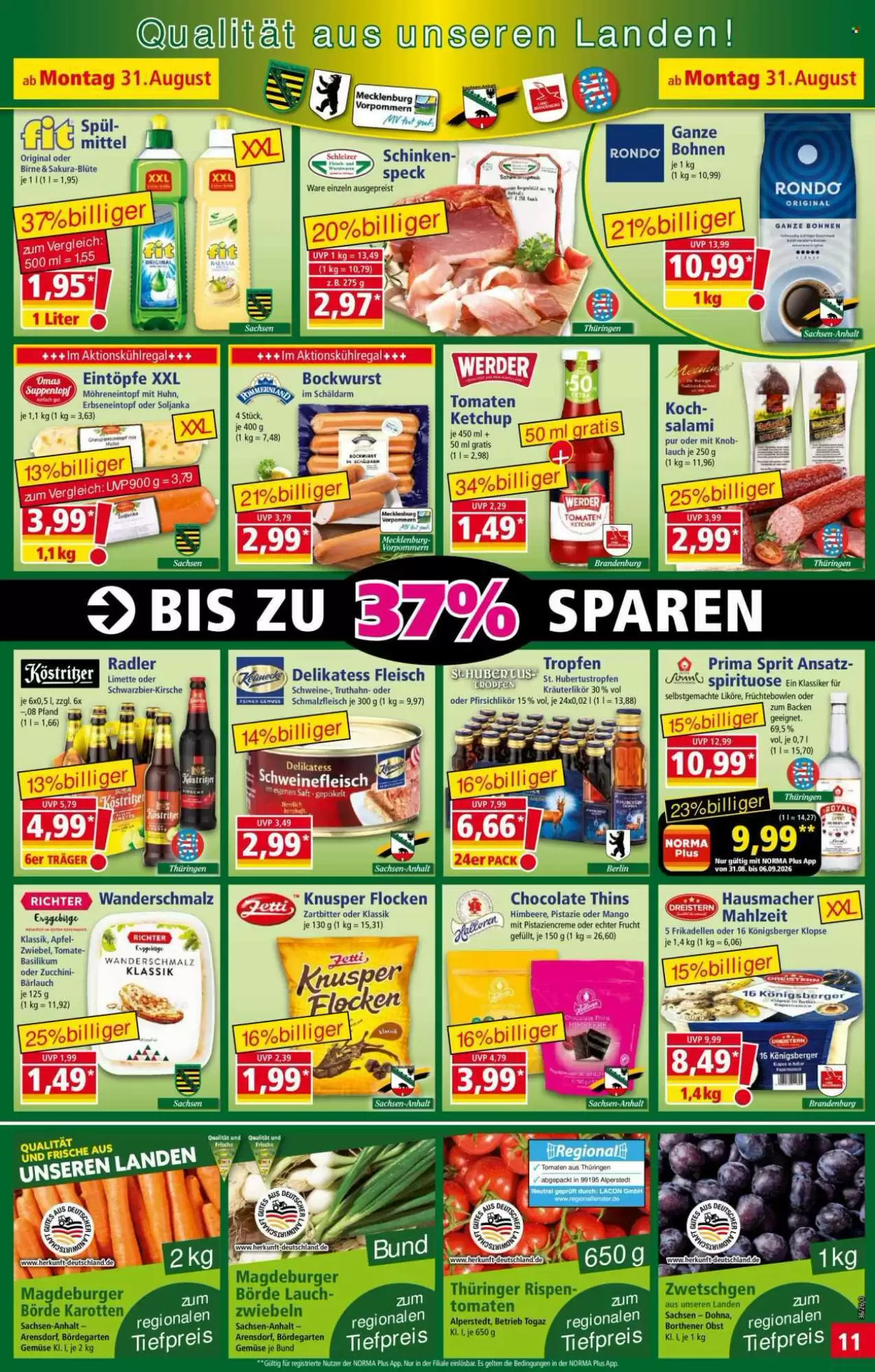 Norma Vorschau – Seite 11