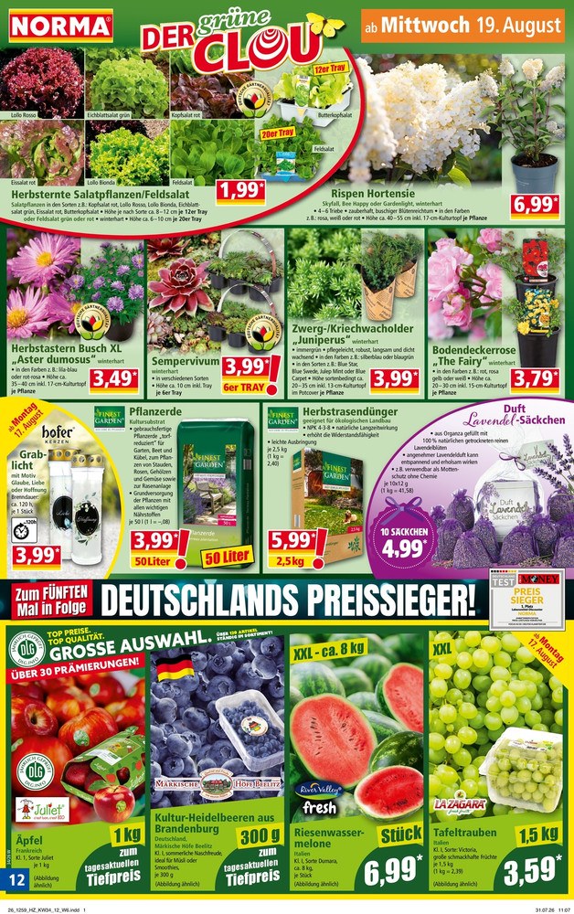 Norma Vorschau – Seite 12