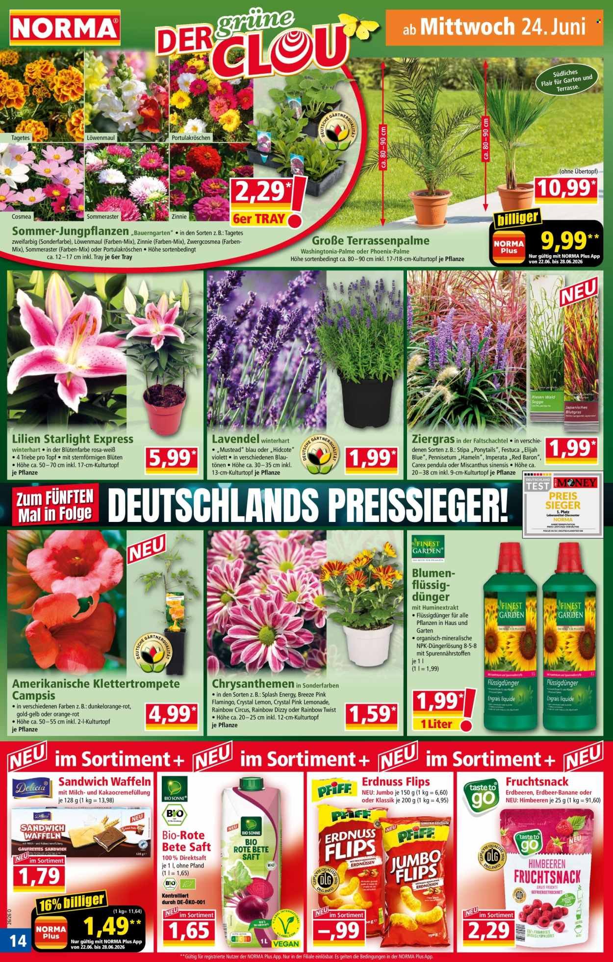 Norma Vorschau – Seite 14