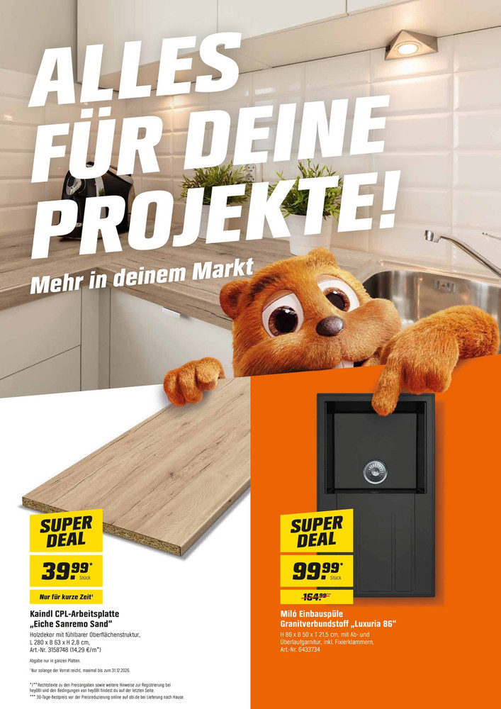 OBI Prospekt – Seite 8