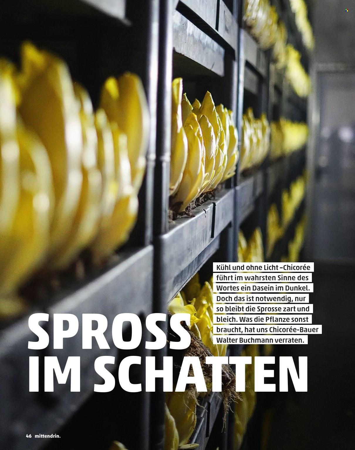Penny Magazin – Seite 46