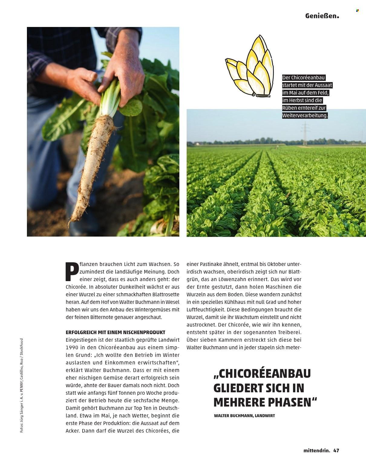 Penny Magazin – Seite 47