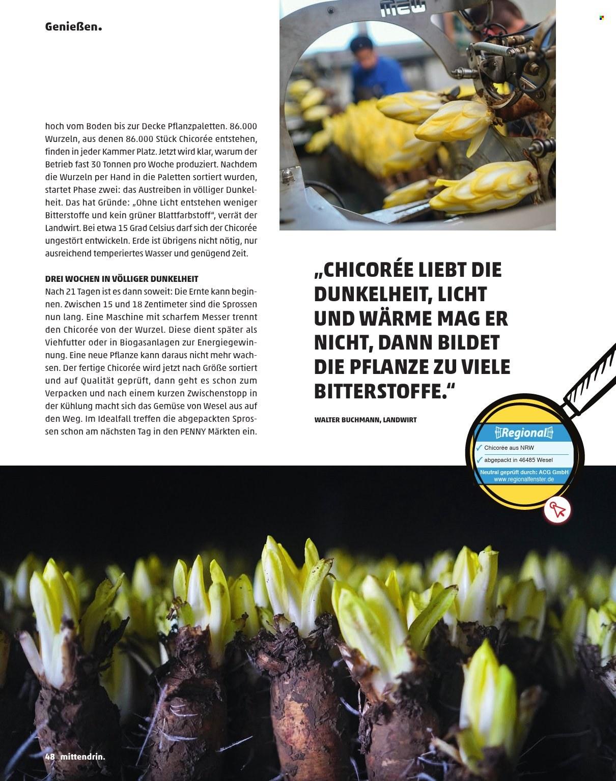 Penny Magazin – Seite 48