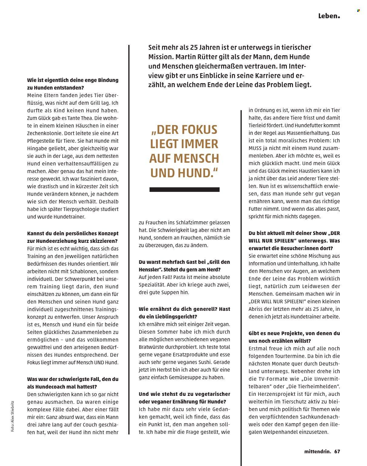 Penny Magazin – Seite 67