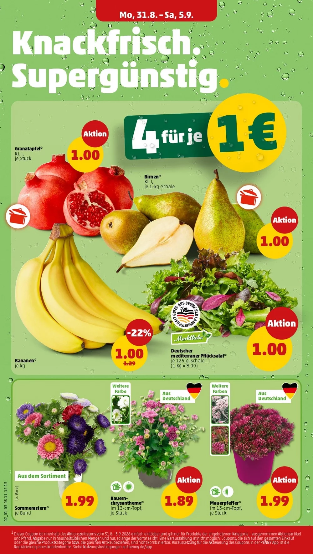 PENNY Vorschau – Seite 4