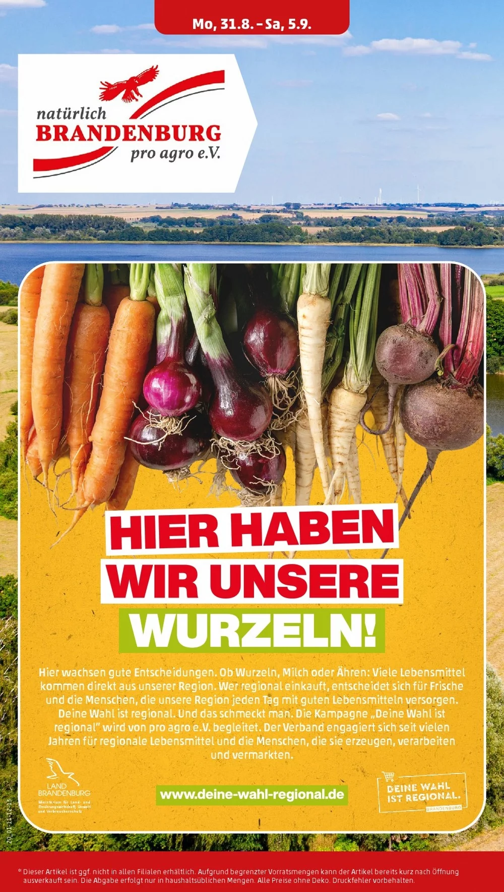 PENNY Vorschau – Seite 23