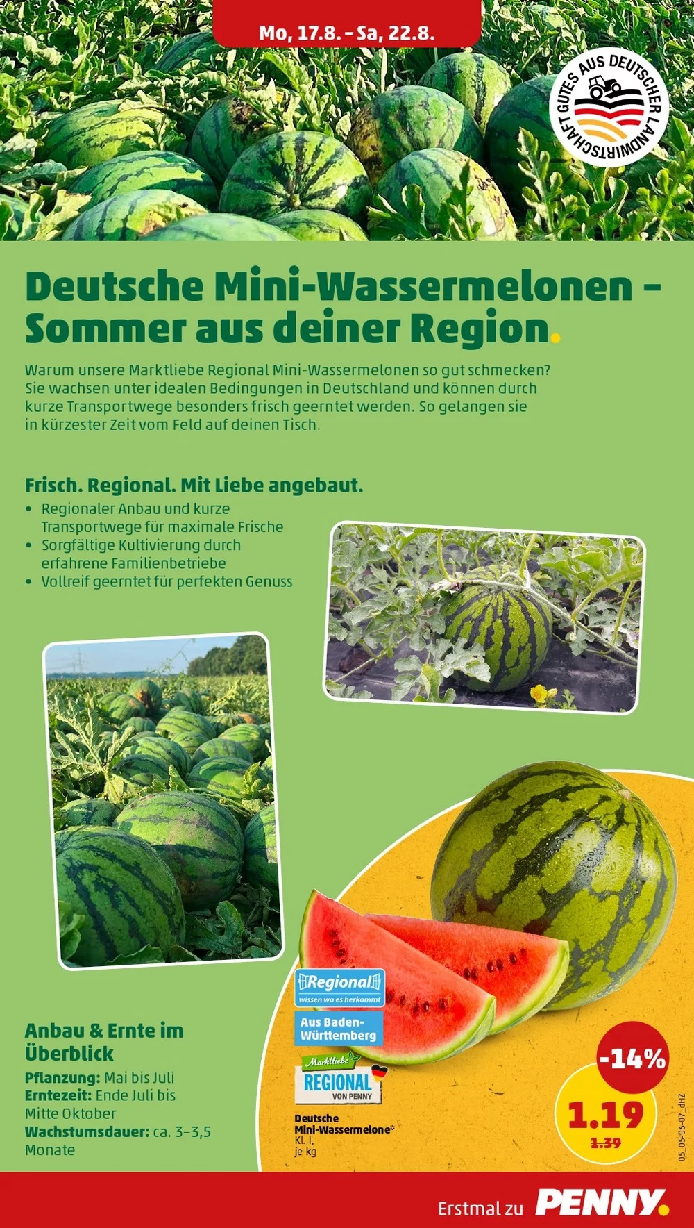 PENNY Prospekt – Seite 11