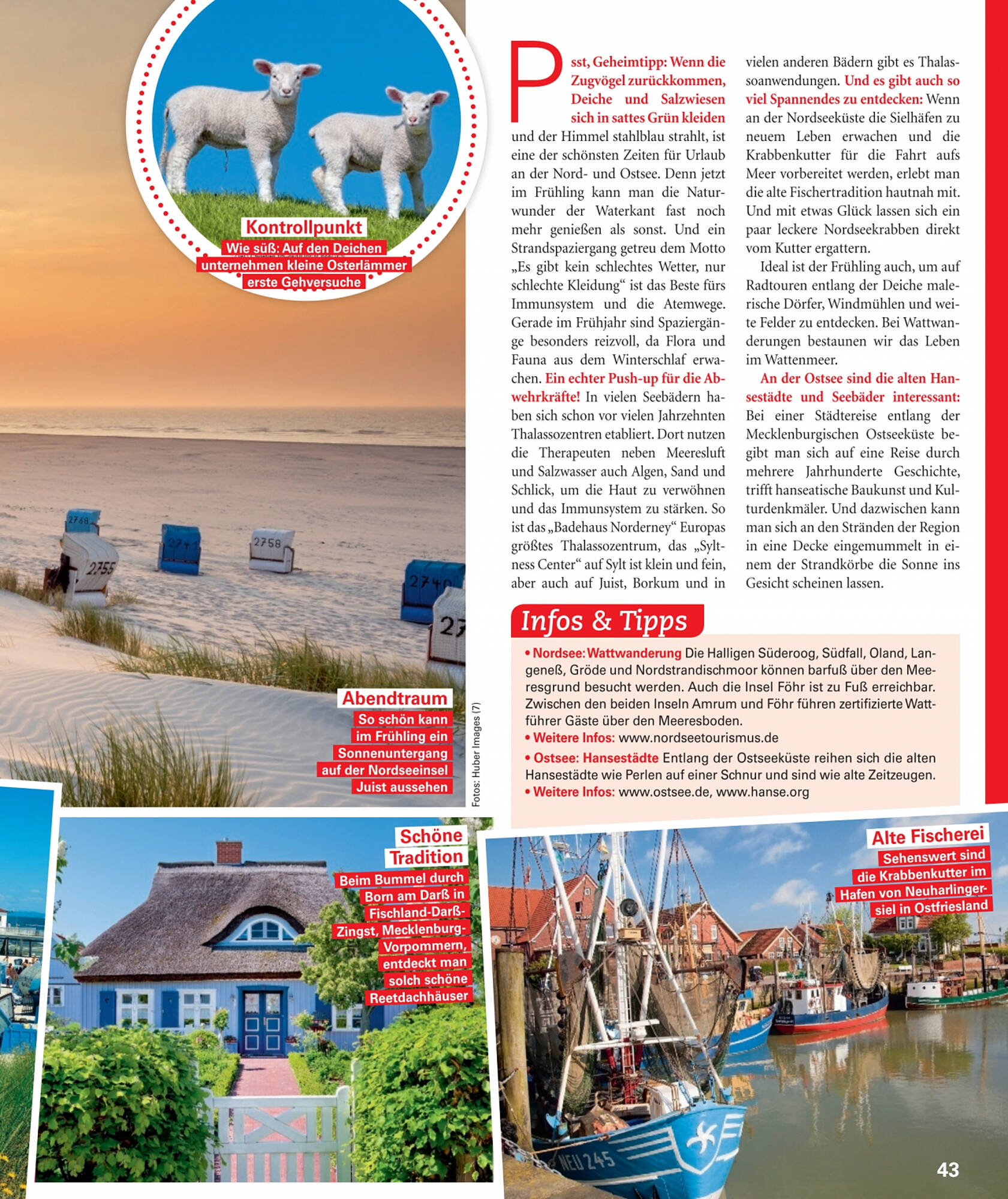 POCO Magazin – Seite 43