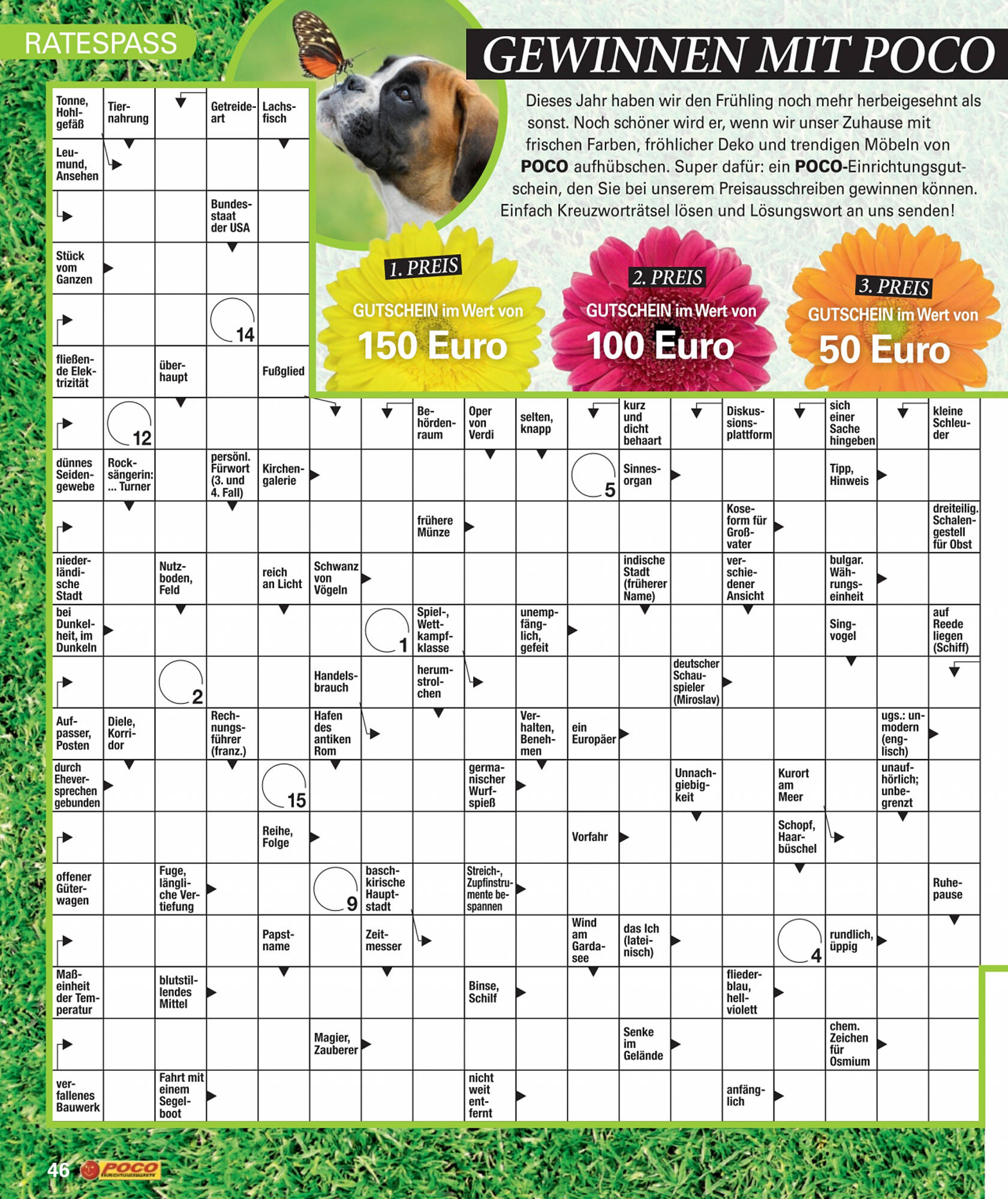 POCO Magazin – Seite 46