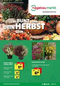 Hagebaumarkt Prospekt Cover ab 12.09.2026