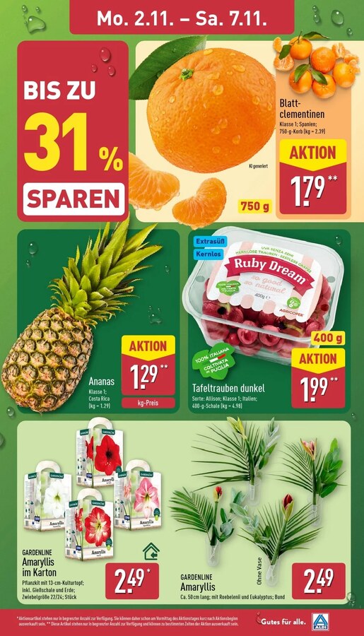 Aldi Nord Prospekt ab 02.11.2026 – Seite 3
